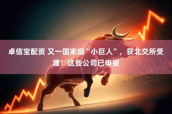 卓信宝配资 又一国家级“小巨人”，获北交所受理！这些公司已申报