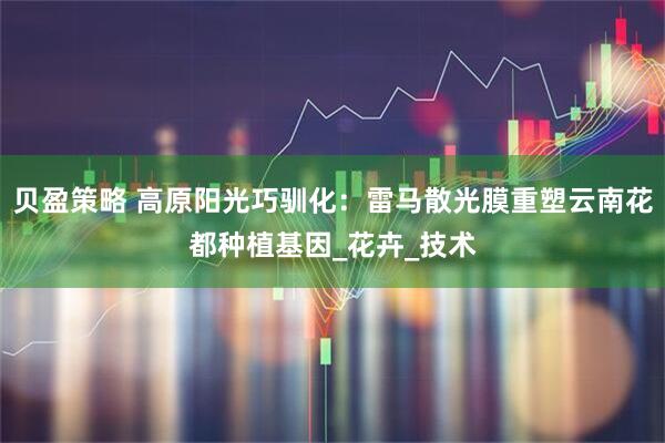 贝盈策略 高原阳光巧驯化：雷马散光膜重塑云南花都种植基因_花卉_技术