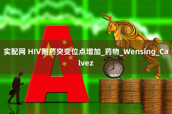 实配网 HIV耐药突变位点增加_药物_Wensing_Calvez